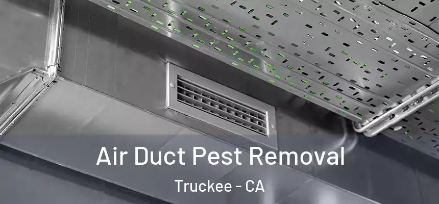  Air Duct Pest Removal Truckee - CA