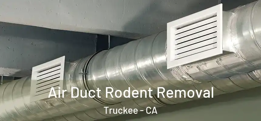  Air Duct Rodent Removal Truckee - CA