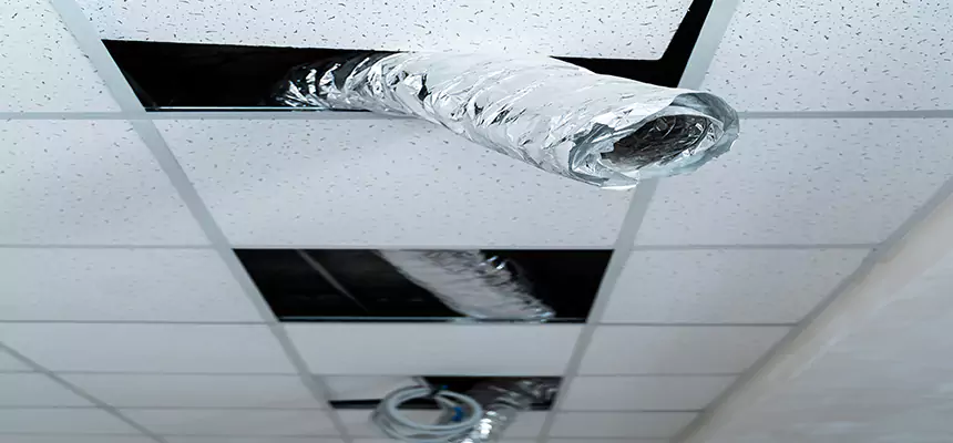 Affordable HVAC Sanitizing After Pest Removal in Truckee