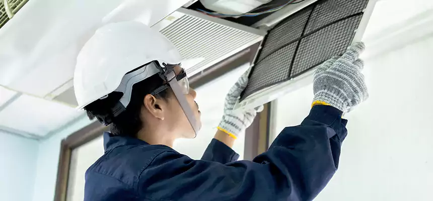 Our Mold & Mildew Removal from Air Ducts Services in Truckee, CA