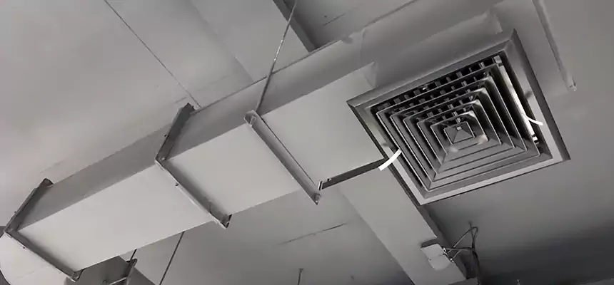 Our Pest Removal From Ducts Services in Truckee, CA