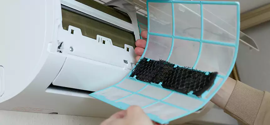 Gentle Ductwork Odor-Control Pet Dander Duct Cleaning in Truckee, CA