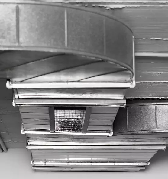 Professional Air Duct Pest Removal in Truckee, CA