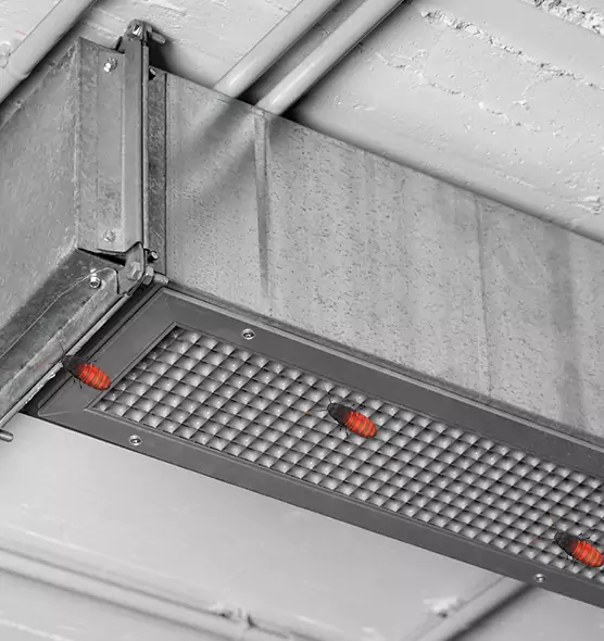 Affordable Insect Removal from Air Ducts in Truckee, CA