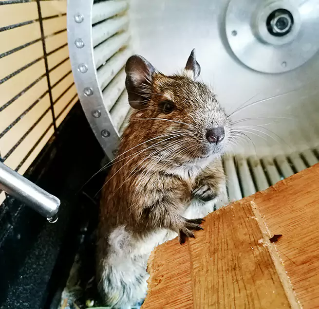 Why Homeowners & Businesses Trust Us Truckee, CA