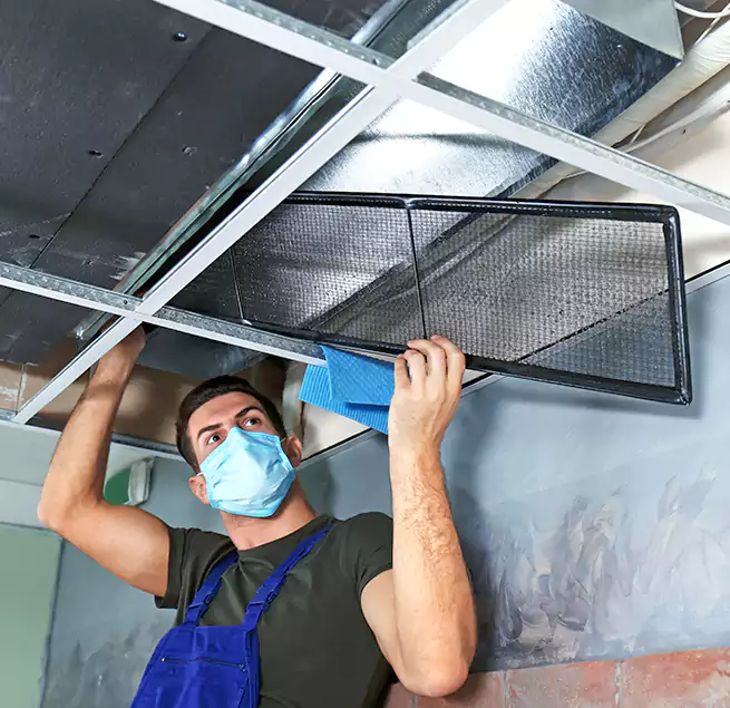 Why Homeowners Businesses Trust Us in Truckee, CA