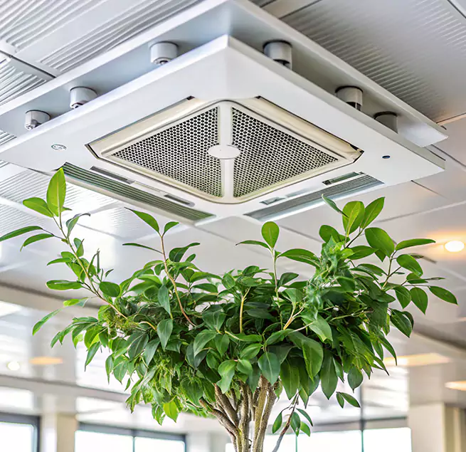 Why Homeowners & Businesses Trust Us in Truckee, CA